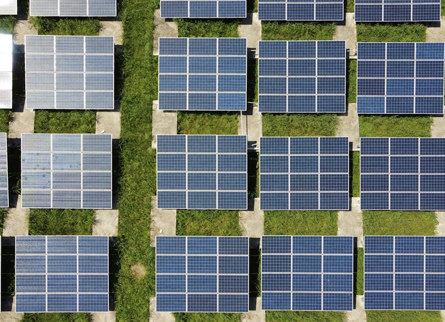 Aerial view of rows of solar panels