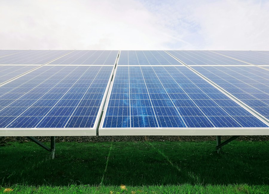 Solar panels in a farm field